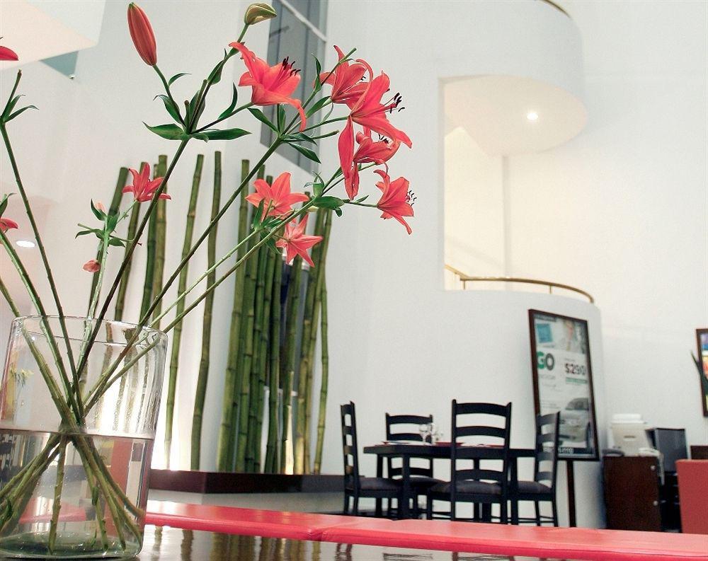 Hotel Suites Mexico Plaza Leon Campestre エクステリア 写真